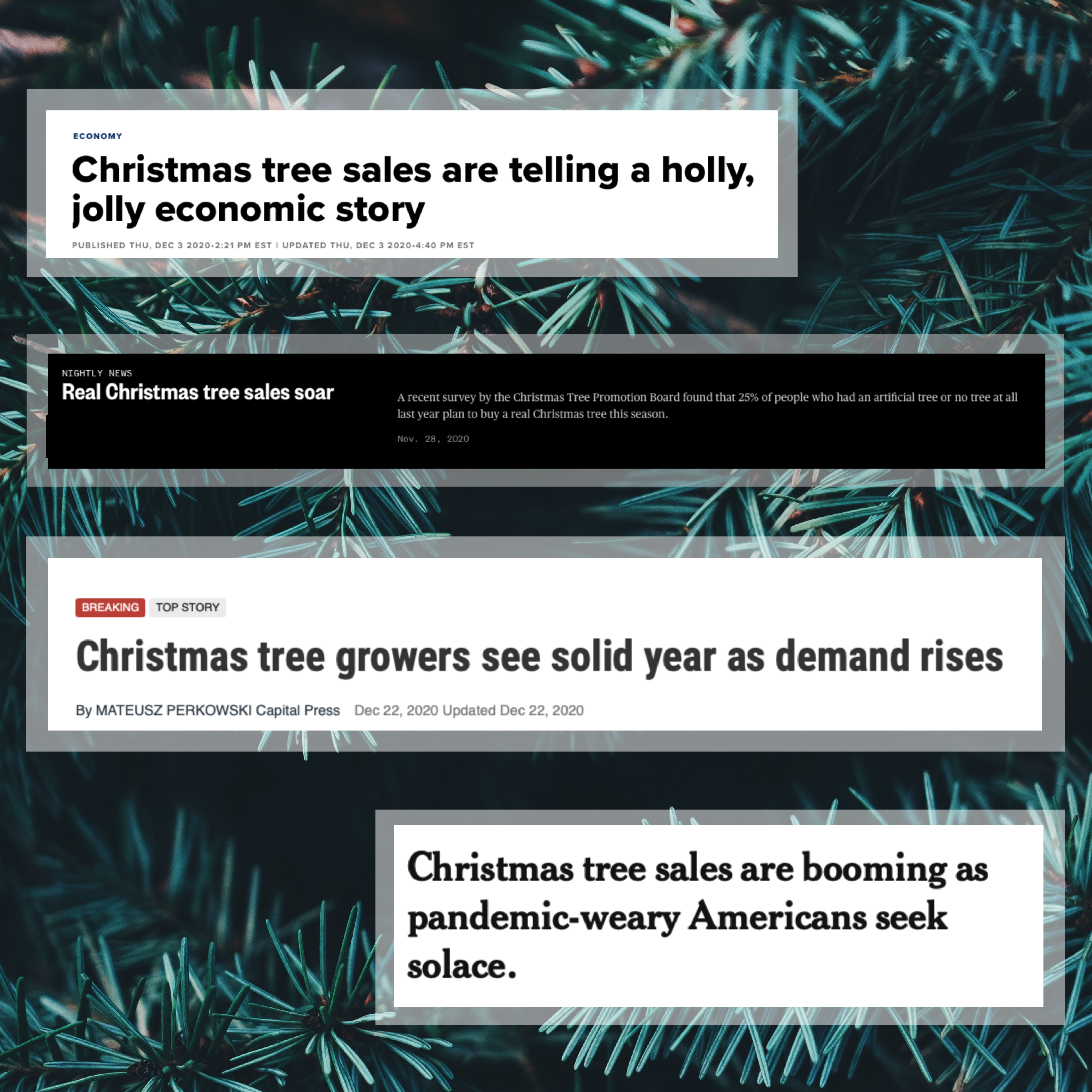 Real Christmas Tree Sales Headlines 2020